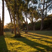 Waterval Farmstay