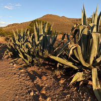 Waterval Farmstay