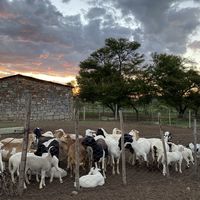 Waterval Farmstay