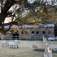Waterval Farmstay