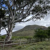 Waterval Farmstay